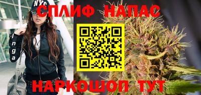 прущие грибы Донецк