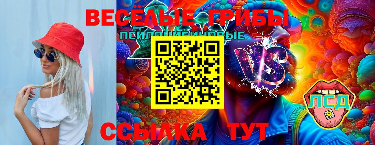 Псилоцибиновые грибы прущие грибы  Вход с VPN  Учалы 